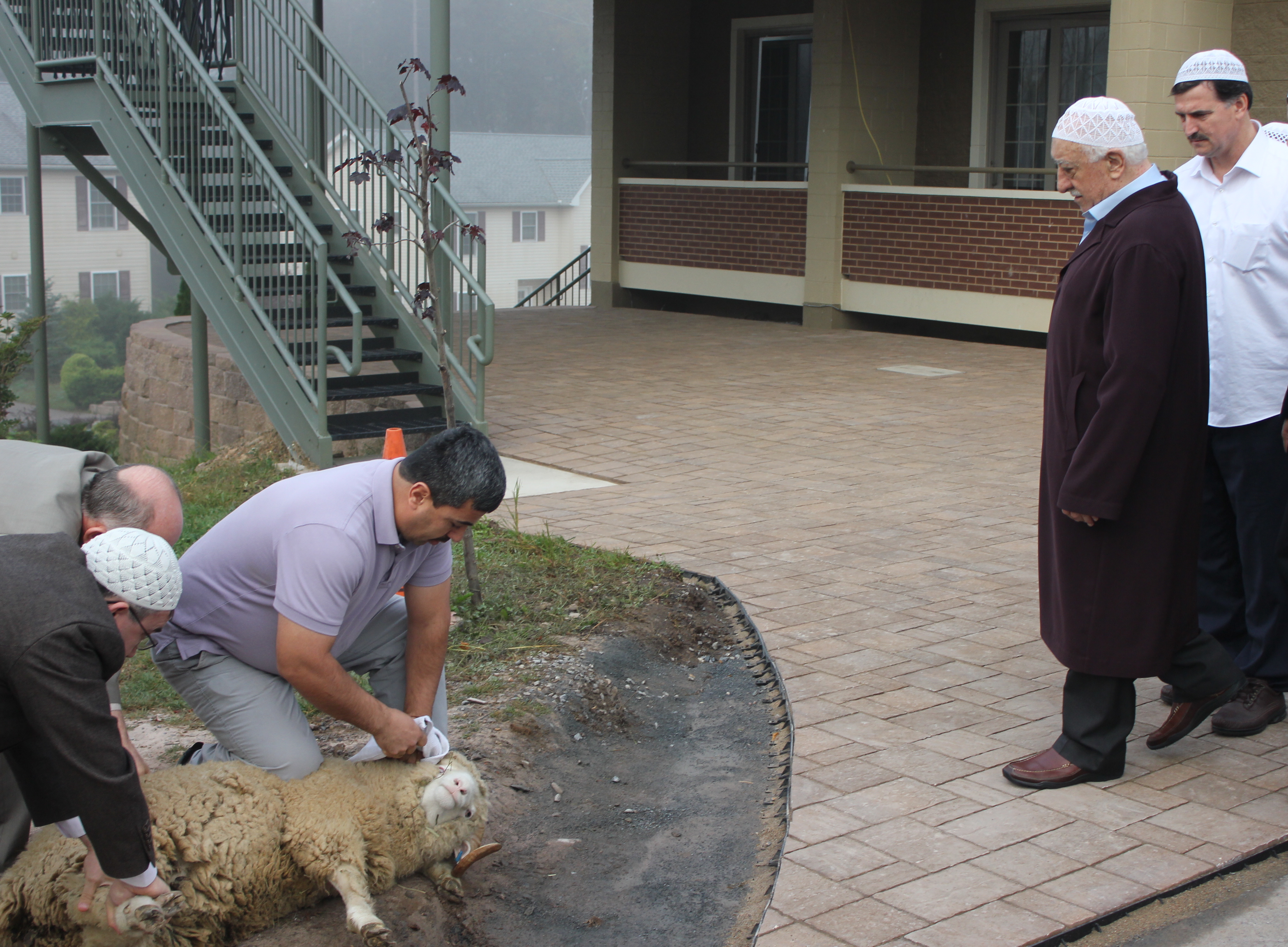 kurban kesmeye hazirlanirken